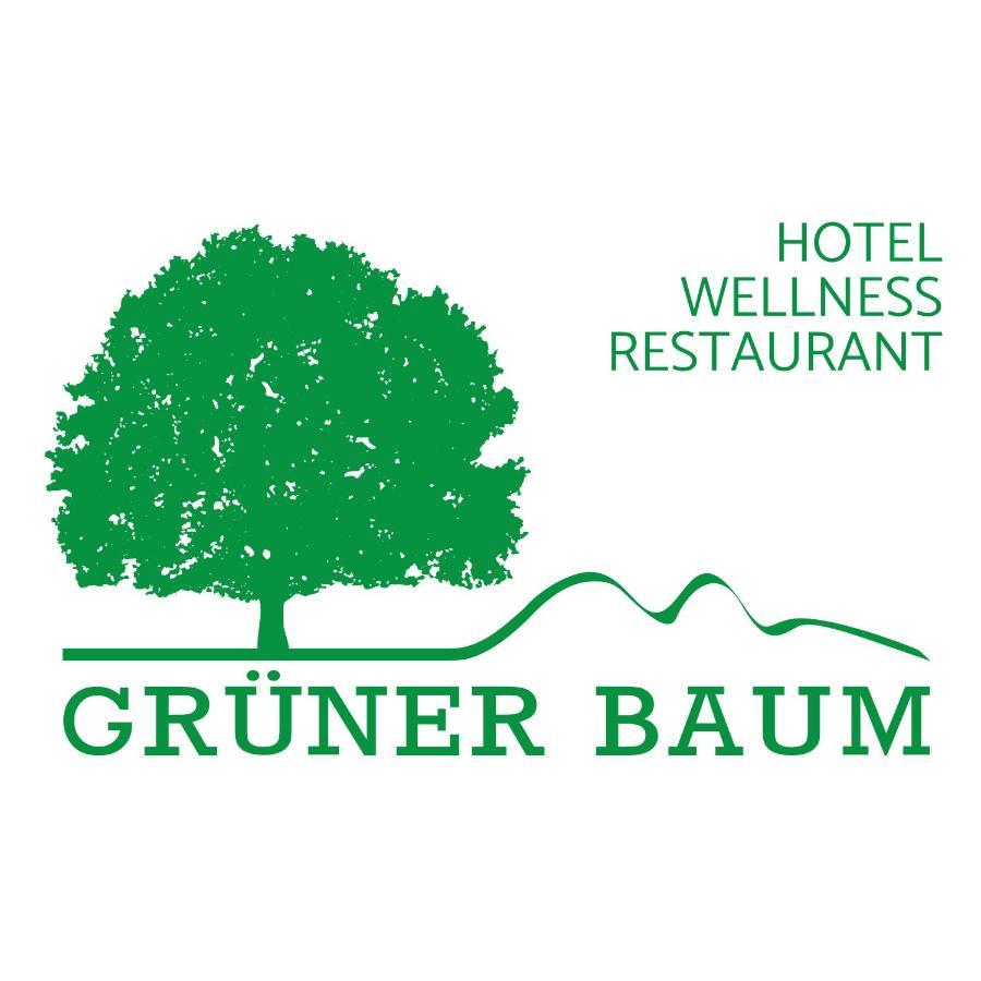 Hotel Gruener Baum Mit Restaurant & Wellness Oberzent Extérieur photo