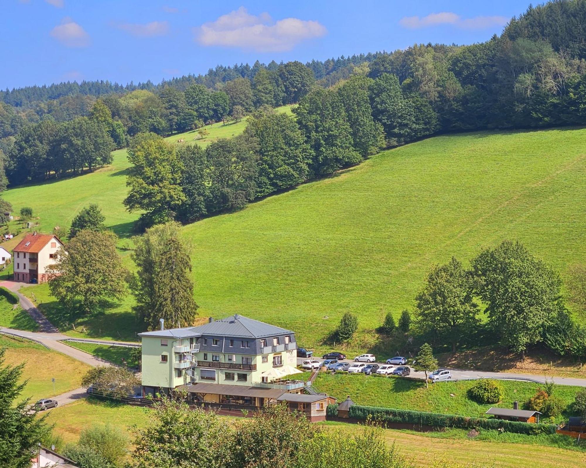 Hotel Gruener Baum Mit Restaurant & Wellness Oberzent Extérieur photo